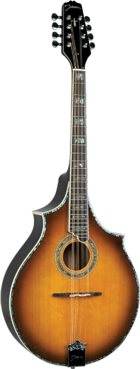 Johnson Deluxe Octave Mandolin